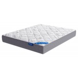 Primula Lux распродажа