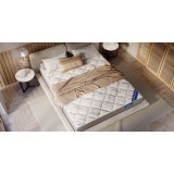 Primula Lux распродажа