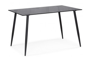 Кухонный стол Smoke 120х80х75 clear gray / black стеклянный