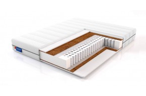 Bertina 200 x 190