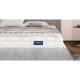 Sognio фото