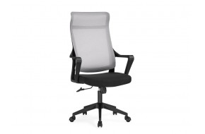 Компьютерное кресло Rino black / light gray