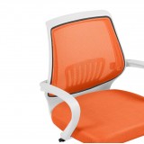 Ergoplus orange  / white недорого