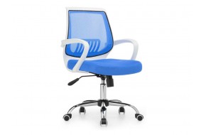 Компьютерное кресло Ergoplus белое / голубое
