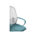 Bust gray / blue / white фото
