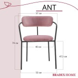Стул Ant от производителя