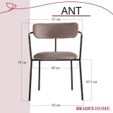 Стул Ant купить